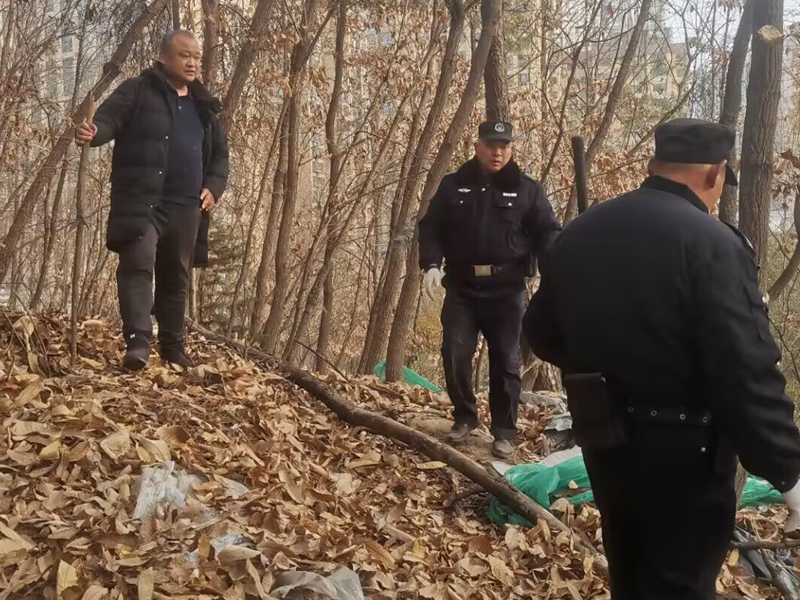 伟德bv1946官网